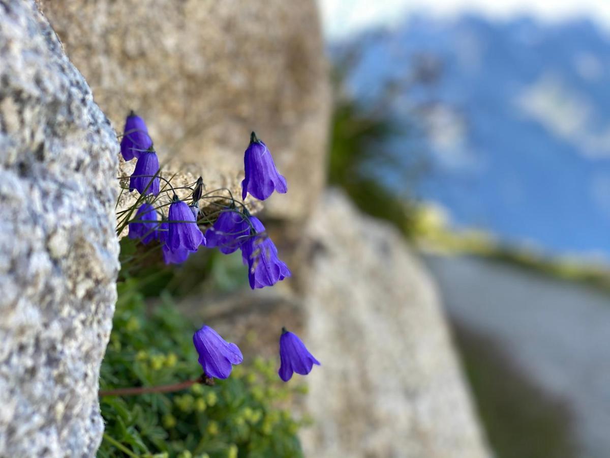 Rocky Studio Chamonix Sud Exterior foto
